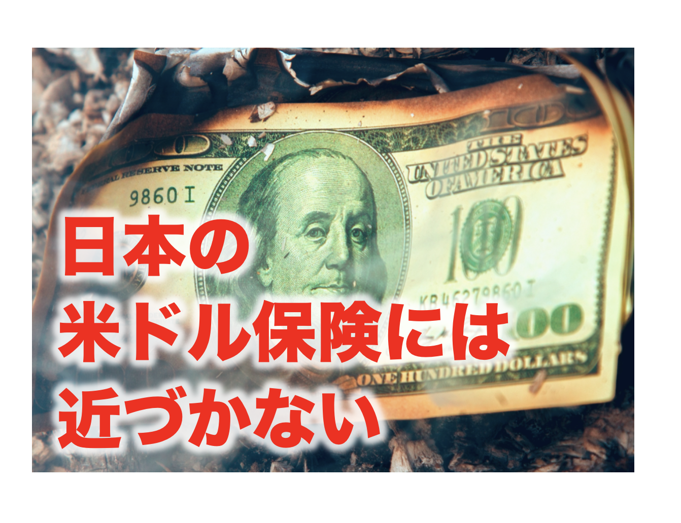 日本の外貨建貯蓄保険には近付かない